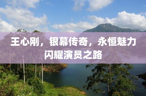 王心刚，银幕传奇，永恒魅力闪耀演员之路