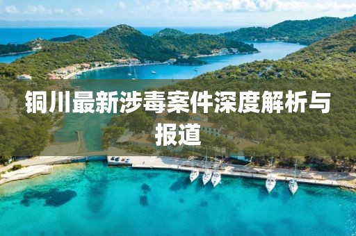 铜川最新涉毒案件深度解析与报道