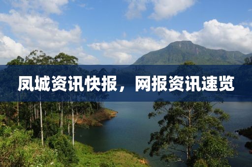 凤城资讯快报，网报资讯速览