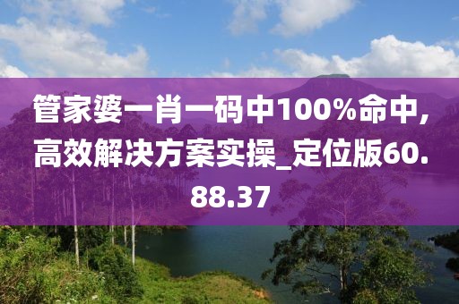 管家婆一肖一码中100%命中,高效解决方案实操_定位版60.88.37