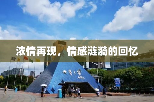 浓情再现，情感涟漪的回忆