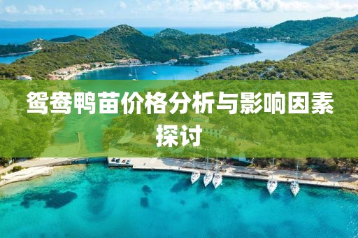 鸳鸯鸭苗价格分析与影响因素探讨