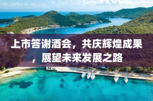 上市答谢酒会，共庆辉煌成果，展望未来发展之路