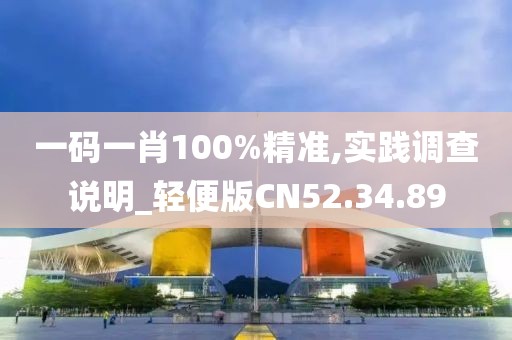一码一肖100%精准,实践调查说明_轻便版CN52.34.89