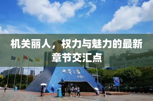 机关丽人，权力与魅力的最新章节交汇点