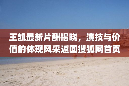 王凯最新片酬揭晓，演技与价值的体现风采返回搜狐网首页