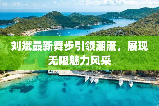 刘斌最新舞步引领潮流，展现无限魅力风采