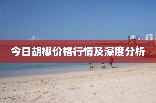 今日胡椒价格行情及深度分析