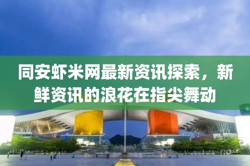 同安虾米网最新资讯探索，新鲜资讯的浪花在指尖舞动