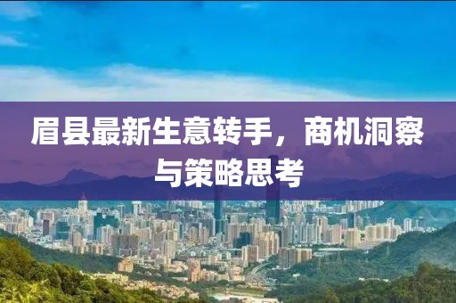 眉县最新生意转手，商机洞察与策略思考