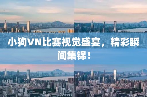 小狗VN比赛视觉盛宴，精彩瞬间集锦！