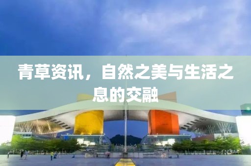 青草资讯，自然之美与生活之息的交融