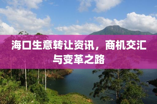 海口生意转让资讯，商机交汇与变革之路