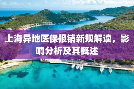 上海异地医保报销新规解读，影响分析及其概述