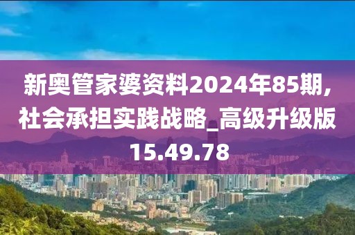 新奥管家婆资料2024年85期,社会承担实践战略_高级升级版15.49.78