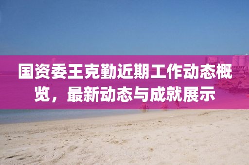 国资委王克勤近期工作动态概览，最新动态与成就展示