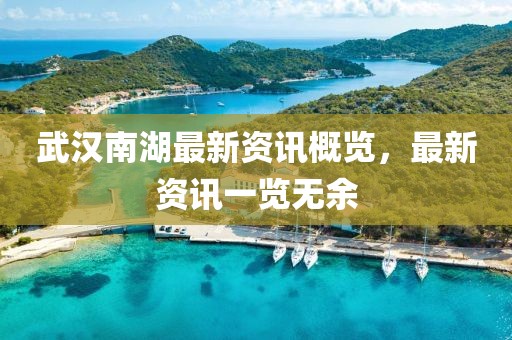 武汉南湖最新资讯概览，最新资讯一览无余