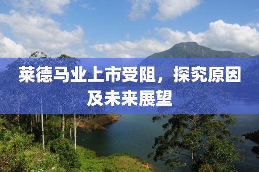 莱德马业上市受阻，探究原因及未来展望