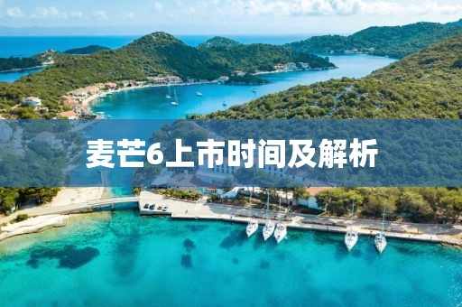 麦芒6上市时间及解析