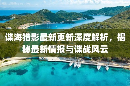 谍海猎影最新更新深度解析，揭秘最新情报与谍战风云