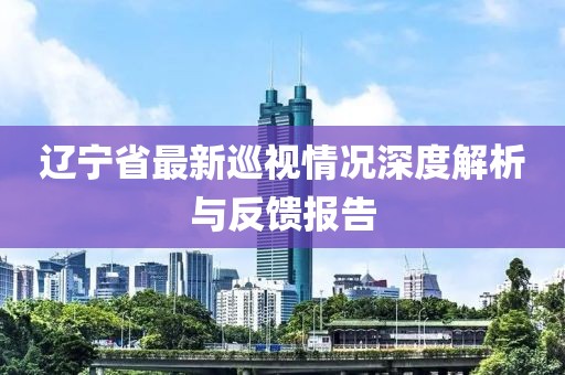 辽宁省最新巡视情况深度解析与反馈报告