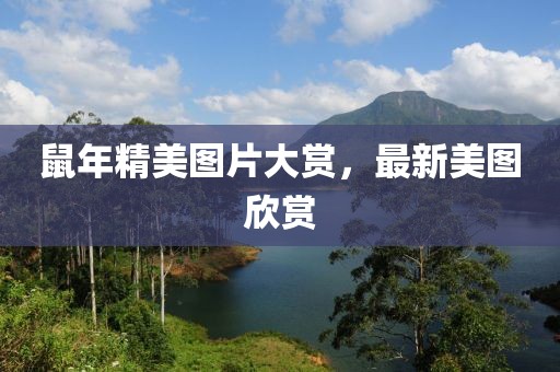 鼠年精美图片大赏，最新美图欣赏