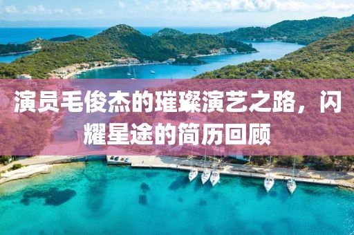演员毛俊杰的璀璨演艺之路，闪耀星途的简历回顾