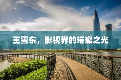 王雪东，影视界的璀璨之光