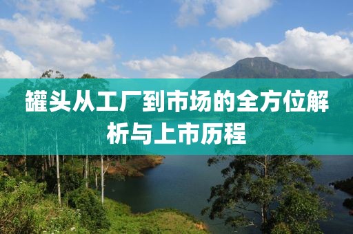 罐头从工厂到市场的全方位解析与上市历程