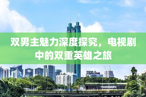 双男主魅力深度探究，电视剧中的双重英雄之旅