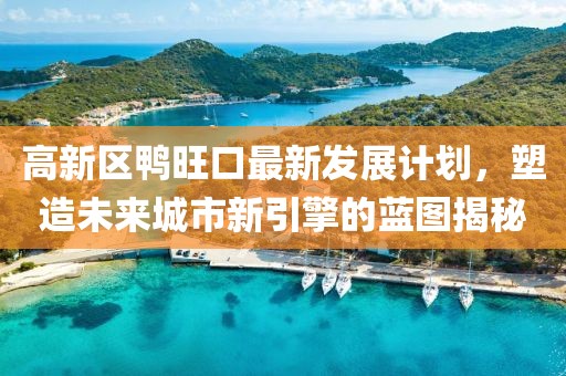 高新区鸭旺口最新发展计划，塑造未来城市新引擎的蓝图揭秘