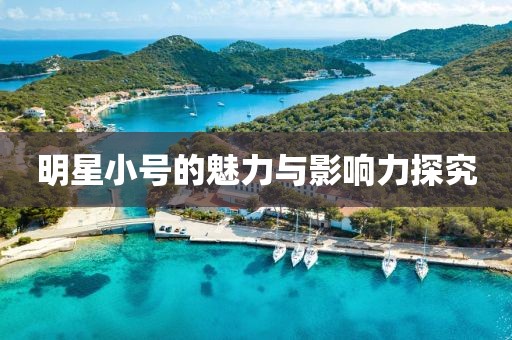 明星小号的魅力与影响力探究