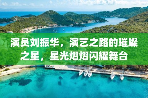 演员刘振华，演艺之路的璀璨之星，星光熠熠闪耀舞台