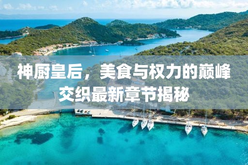 神厨皇后，美食与权力的巅峰交织最新章节揭秘