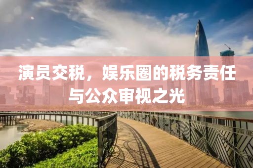 演员交税，娱乐圈的税务责任与公众审视之光