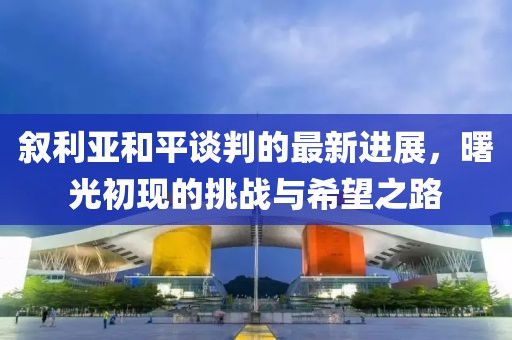 叙利亚和平谈判的最新进展，曙光初现的挑战与希望之路