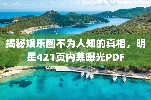 揭秘娱乐圈不为人知的真相，明星421页内幕曝光PDF