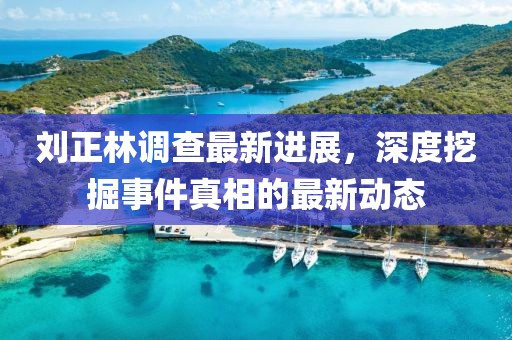 刘正林调查最新进展，深度挖掘事件真相的最新动态