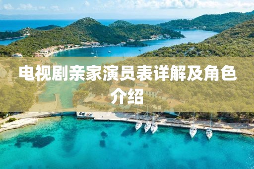 电视剧亲家演员表详解及角色介绍