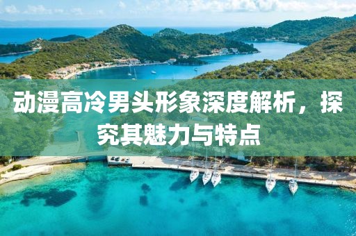 动漫高冷男头形象深度解析，探究其魅力与特点