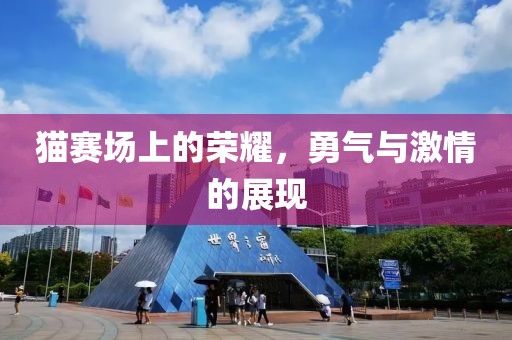 猫赛场上的荣耀，勇气与激情的展现
