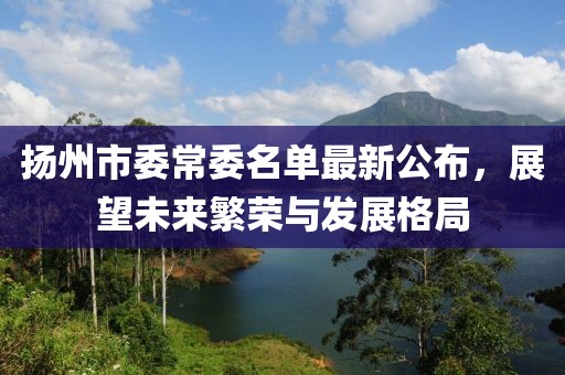 扬州市委常委名单最新公布，展望未来繁荣与发展格局