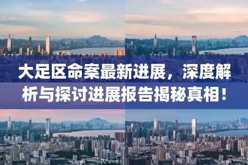 大足区命案最新进展，深度解析与探讨进展报告揭秘真相！