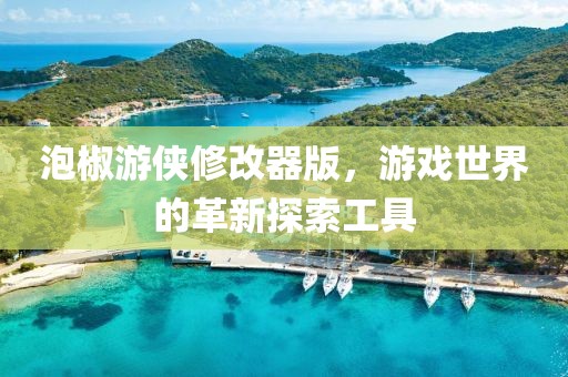 泡椒游侠修改器版，游戏世界的革新探索工具