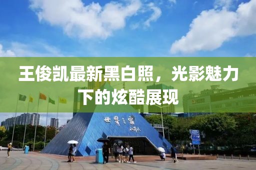 王俊凯最新黑白照，光影魅力下的炫酷展现