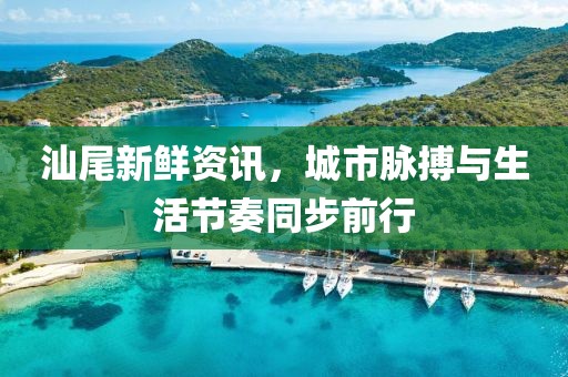汕尾新鲜资讯，城市脉搏与生活节奏同步前行