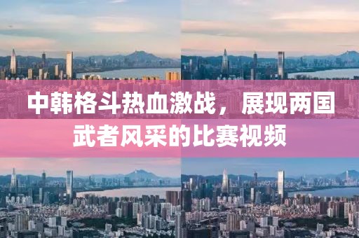 中韩格斗热血激战，展现两国武者风采的比赛视频