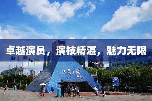 卓越演员，演技精湛，魅力无限