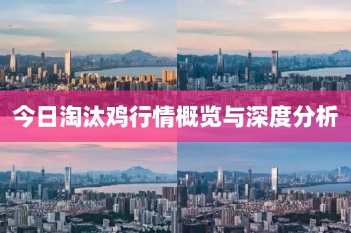 今日淘汰鸡行情概览与深度分析