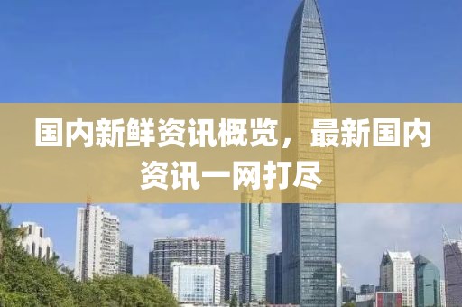 国内新鲜资讯概览，最新国内资讯一网打尽